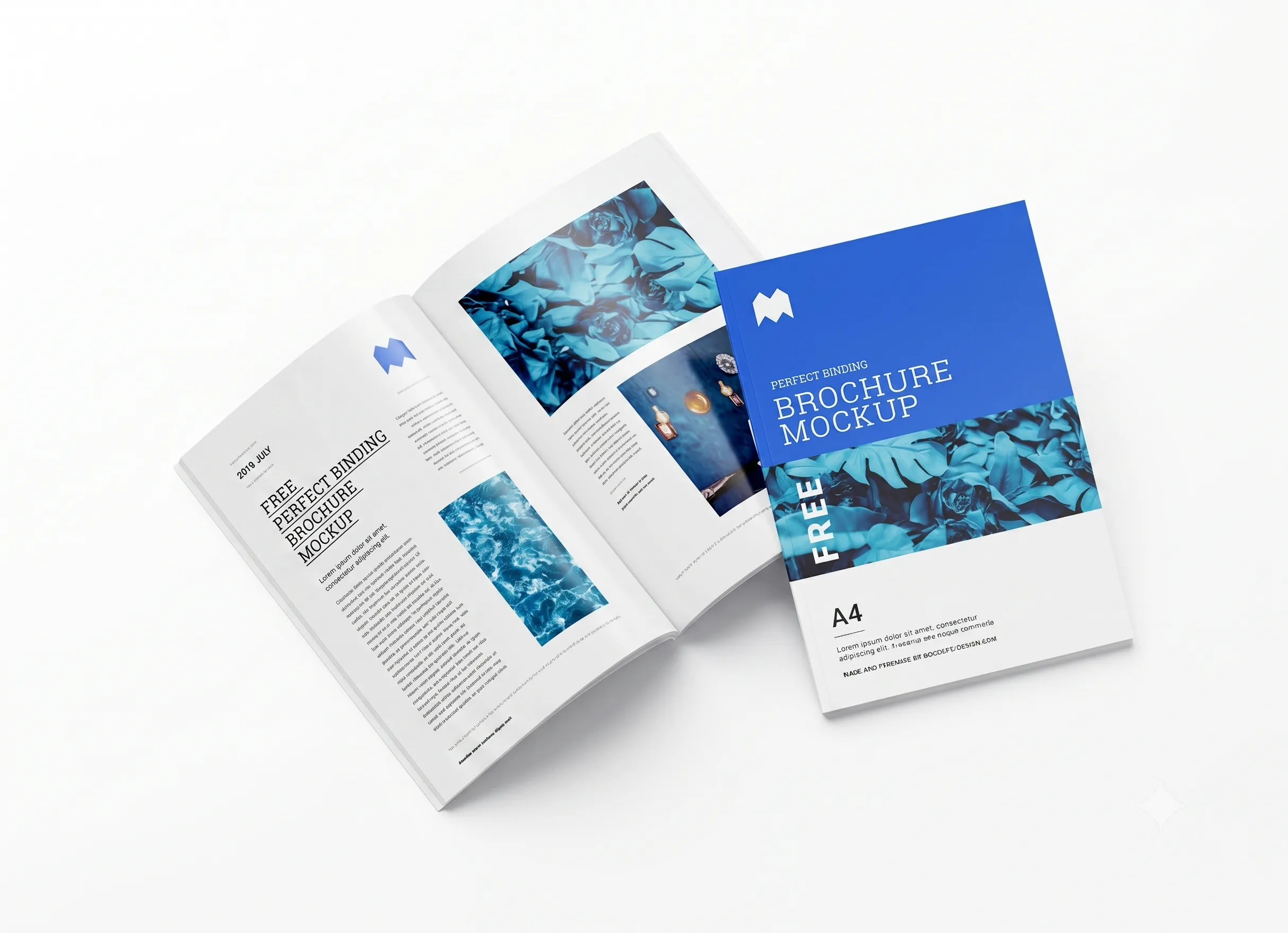 A4 Brochure